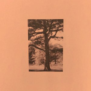 日本free❌❌❌少妇3车上
